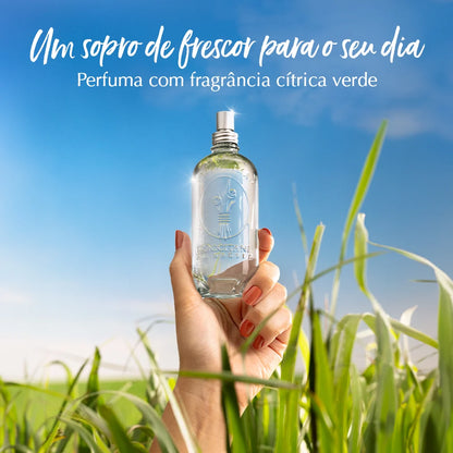 Deo Colônia Capim-Limão 100ml