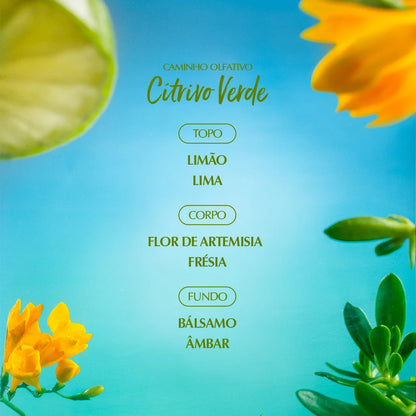 Deo Colônia Capim-Limão 100ml