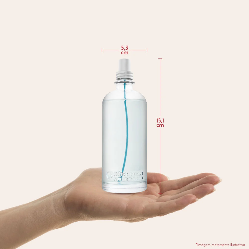 Mist Desodorante Perfumado Chamego 75mL